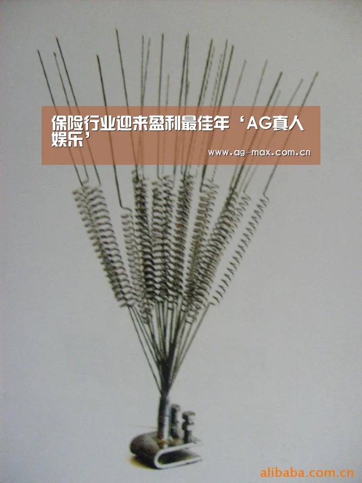 保险行业迎来盈利最佳年‘AG真人娱乐’