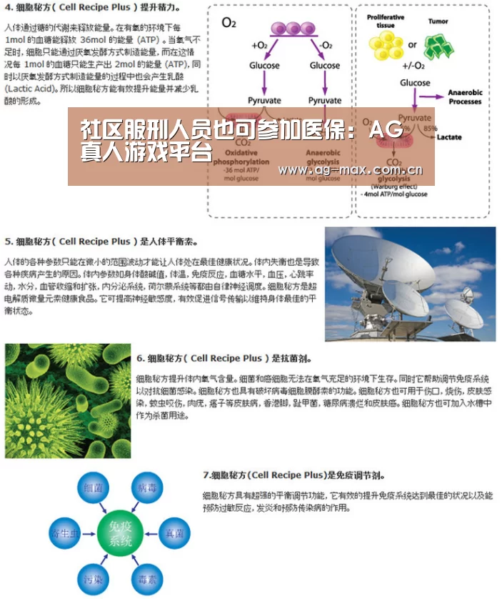 AG真人娱乐
